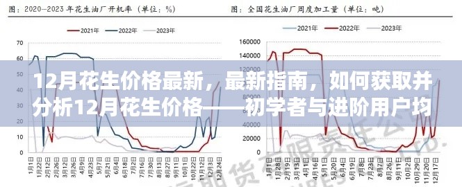 12月花生价格最新指南，获取与分析方法，适合初学者与进阶用户参考