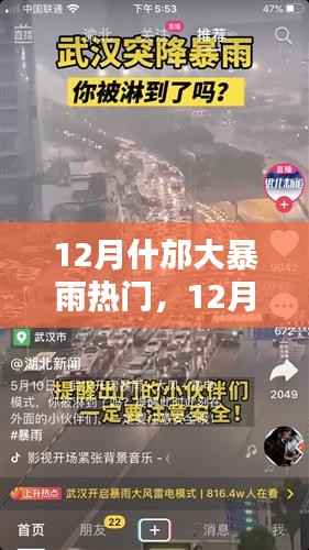 12月什邡大暴雨应对指南,极端天气下的生命安全保障