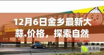 金乡大蒜最新行情揭秘,探索秘境之旅,遇见大蒜之乡,心灵平静之旅开启