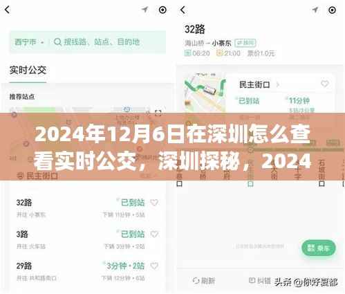 深圳探秘，追寻自然与内心宁静的公交之旅，实时公交查询指南（2024年）