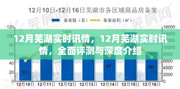 深度解析，全面评测与介绍芜湖市十二月实时讯情
