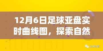 足球亚盘实时曲线图,探寻自然美景之旅与激情背后的宁静