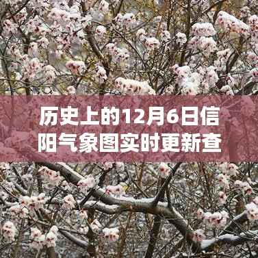 📈历史上的12月6日信阳气象图实时更新查询,初学者与进阶用户操作指南🌦️