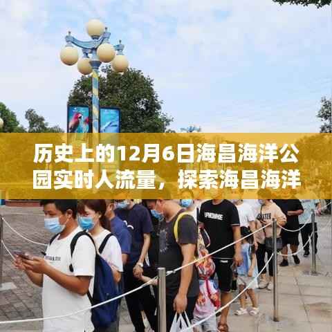 探索海昌海洋公园,揭秘历史日期实时人流量的秘密!