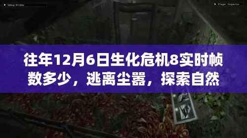 生化危机8背后的宁静之旅,往年帧数回顾与探索自然美景的逃离尘嚣之旅