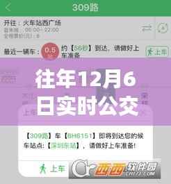 往年12月6日实时公交异常解析与应对指南，原因、解析及应对步骤揭秘