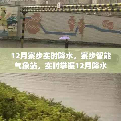 科技引领生活新纪元,寮步智能气象站实时掌握十二月降水动态