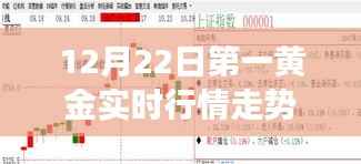 12月22日第一黄金实时行情智能分析器，洞悉黄金走势，科技领航新纪元