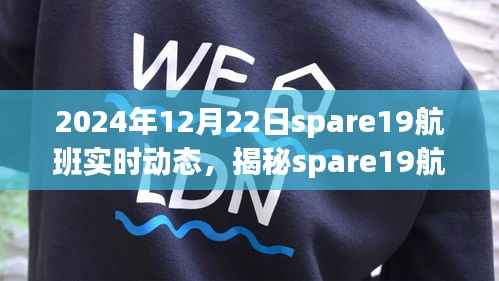 揭秘spare19航班在2024年12月22日的实时动态之旅,深度解析航班动态与飞行要点