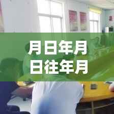 公众号粉丝实时查看与历史追溯预测,月日月年的粉丝动态洞察