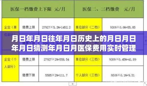 医保费用实时管理制度,历史演变与未来走向的探究分析