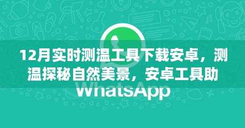 安卓测温工具,开启冬日自然探秘之旅,远离尘嚣的心灵温暖之旅