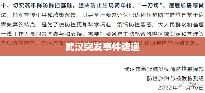 武汉突发事件速递