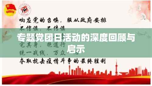 专题党团日活动的深度回顾与启示