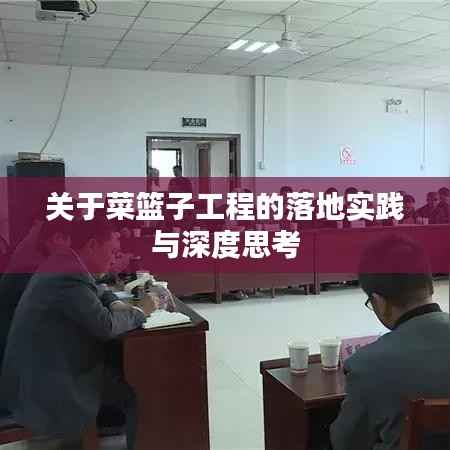 关于菜篮子工程的落地实践与深度思考