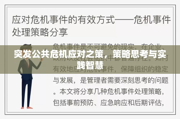 突发公共危机应对之策,策略思考与实践智慧