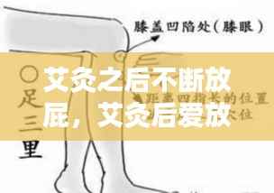 gangqiemuzhang 第11页