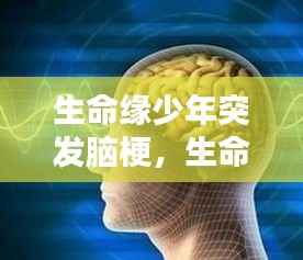 生命缘少年突发脑梗,生命缘脑干