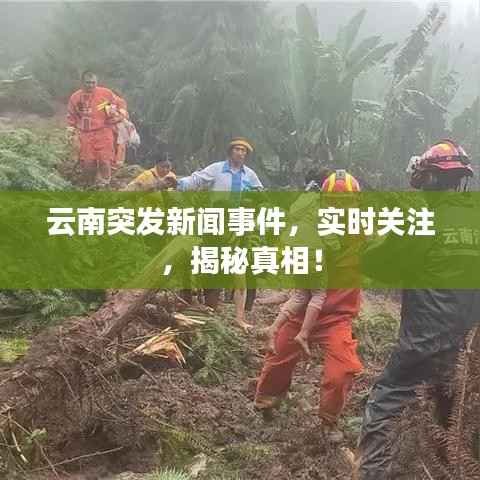 云南突发新闻事件,实时关注,揭秘真相!