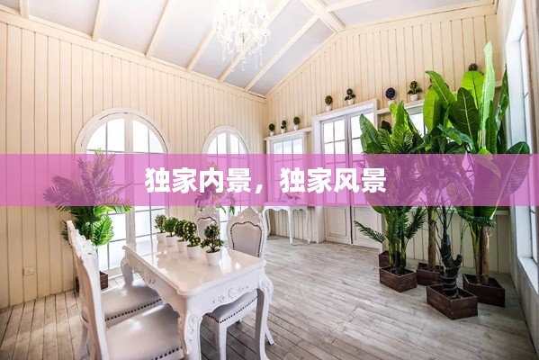 独家内景,独家风景