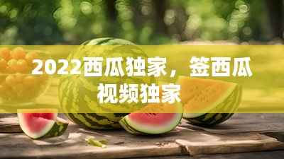 2022西瓜独家，签西瓜视频独家 