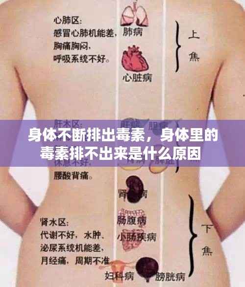 身体不断排出毒素，身体里的毒素排不出来是什么原因 