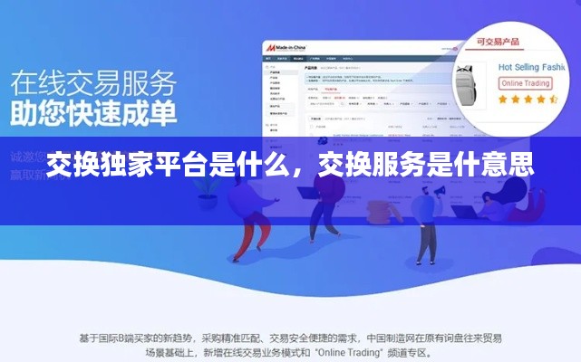 交换独家平台是什么,交换服务是什意思