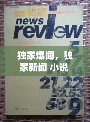 独家爆闻，独家新闻 小说 