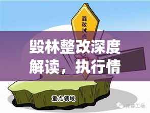 毁林整改深度解读,执行情况一览无遗