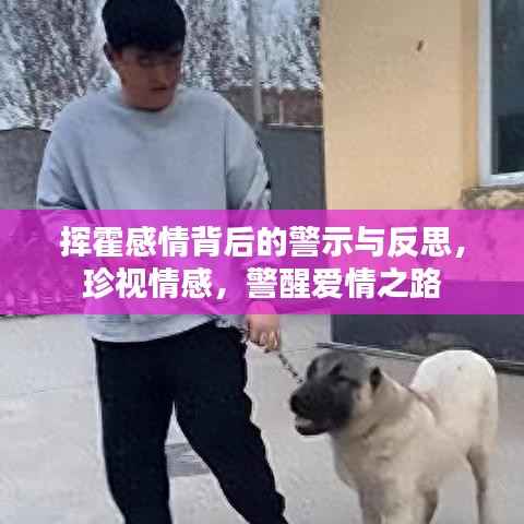 挥霍感情背后的警示与反思,珍视情感,警醒爱情之路