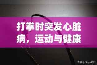 打拳时突发心脏病,运动与健康的警示钟声