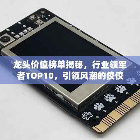 龙头价值榜单揭秘,行业领军者TOP10,引领风潮的佼佼者