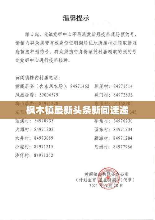 枫木镇最新头条新闻速递