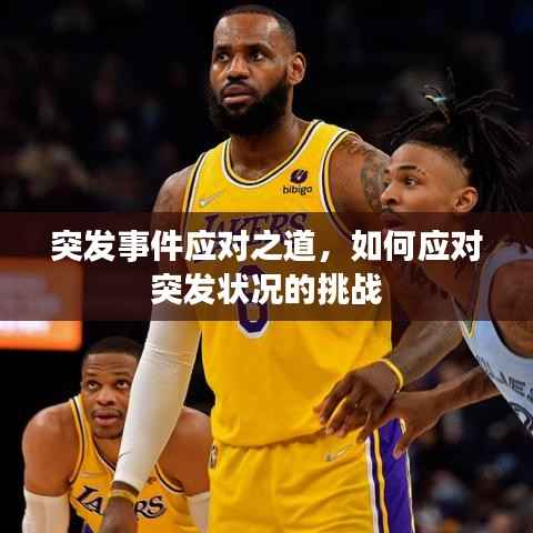 突发事件应对之道，如何应对突发状况的挑战