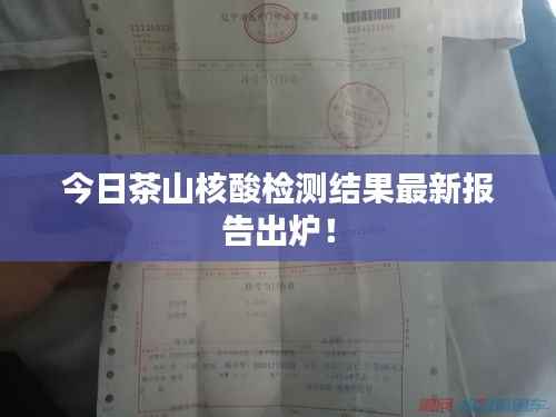 今日茶山核酸检测结果最新报告出炉！
