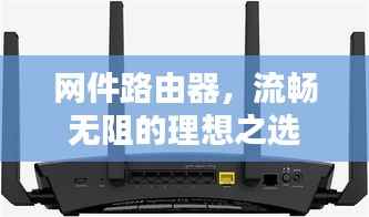 网件路由器,流畅无阻的理想之选