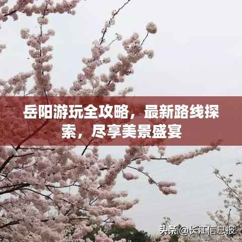 岳阳游玩全攻略，最新路线探索，尽享美景盛宴