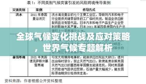 全球气候变化挑战及应对策略,世界气候专题解析