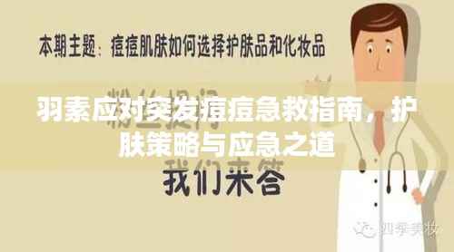 羽素应对突发痘痘急救指南,护肤策略与应急之道