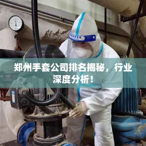 郑州手套公司排名揭秘,行业深度分析!