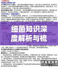 细菌知识深度解析与梳理,专题复习指南