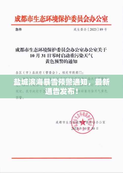 盐城滨海暴雪预警通知,最新通告发布!