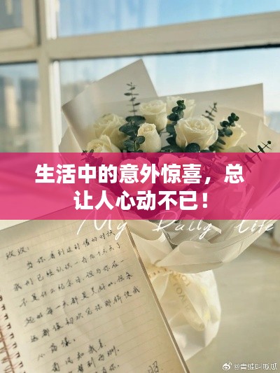 生活中的意外惊喜,总让人心动不已!