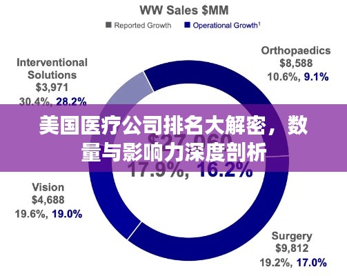 美国医疗公司排名大解密，数量与影响力深度剖析