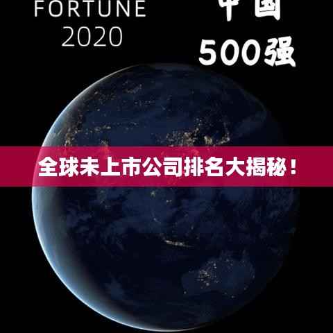 全球未上市公司排名大揭秘！