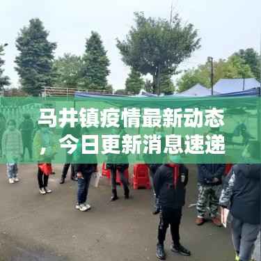 马井镇疫情最新动态,今日更新消息速递