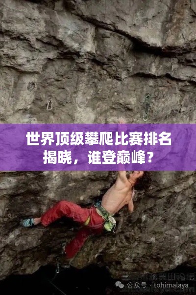 世界顶级攀爬比赛排名揭晓,谁登巅峰?