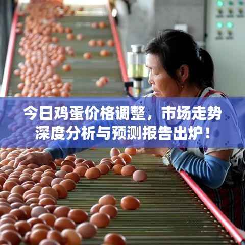 今日鸡蛋价格调整,市场走势深度分析与预测报告出炉!