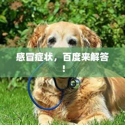 感冒症状,百度来解答!