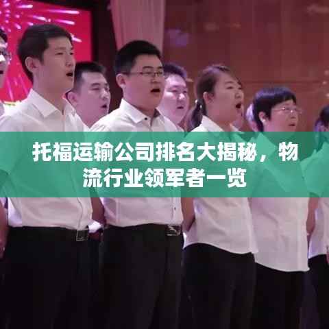 托福运输公司排名大揭秘,物流行业领军者一览